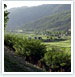 Bhutan Valley Tour
