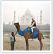 Taj Mahal With Tiger