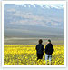 Rishikesh Trekking Tour