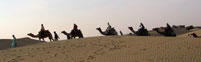 Havelis & Deserts Tour