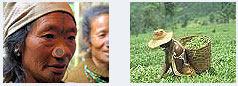 North East India Tour Packages