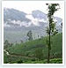 Kerala Spice Tour