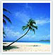 Best of India with Kerala