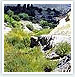 Indus Valley Trek