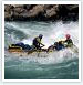 Rafting and Wildlife