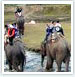 Chitwan and Pokhara