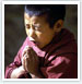 Glimpses of Ladakh