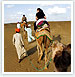 Rajasthan Desert Tour