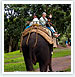 Rajasthan Wildlife Tour