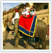 Exclusive Rajasthan Tour