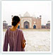 Taj and Pink City with Wildlife
